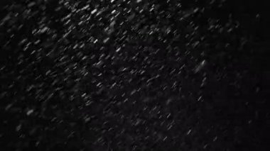 Real snowfall, winter snow with wind influence on black background. Abstract white dust particles. Perfect for composite or transparency