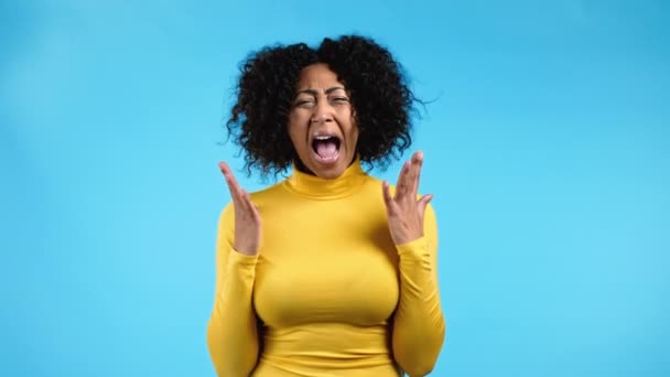 Afro-americana furiosa mulher gritando em fundo azul. Senhora em estresse e raiva, ela ameaça com agressão e olhando para a câmera. — Vídeo de Stock