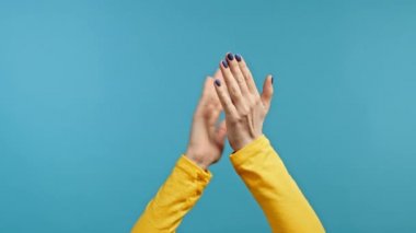 Kadının elleri, çok memnun, mükemmel haberler sayesinde el çırpıyor. Mavi arka planda alkışlayan bayan