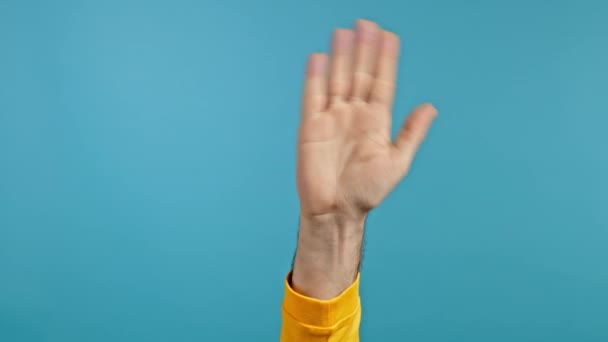 Mano di uomo amichevole che saluta la mano - ciao. Saluto, saluta la telecamera. Ragazzo irriconoscibile su sfondo blu studio. — Video Stock