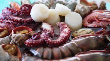 Deniz ürünleri mağazası. Vitrindeki deniz sürüngenleri. Çiğ ahtapot, karides, istiridye, midye buz pazarında satılıyor.