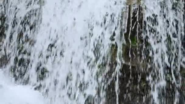 Cachoeira deslumbrante na floresta. O rio começa no alto das montanhas. Poderoso fluxo de água em câmera lenta. Pedras e pedregulhos, vida selvagem. — Vídeo de Stock