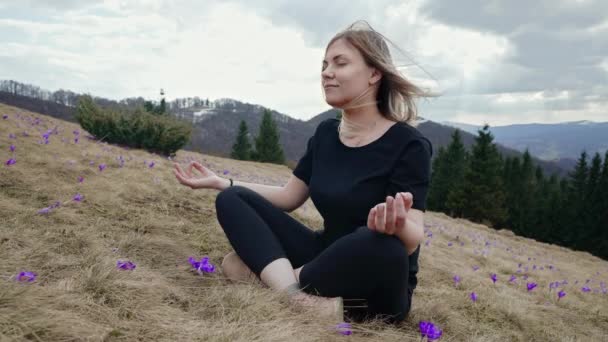 Sakin bir kadın meditasyon yapıyor, yüksek dağ vadisinde, kır çiçeklerinin arasında oturuyor. Kız sakinleşiyor, derin derin nefes alıyor Mudra om, namaste. İç huzur, doğa konsepti üzerine yoga. — Stok video