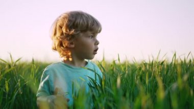 Taze yeşil buğday tarlasında duran kıvırcık çocuk portresi. Tatlı çocuk baharda doğayı, bitkileri keşfediyor. Çocukluk, gelecek, tarım, ekoloji kavramı