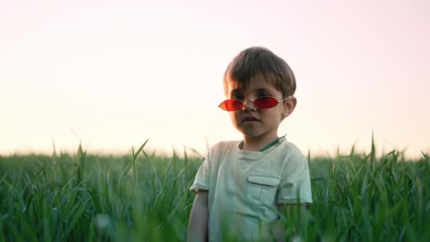 Retrato de niño divertido en gafas de sol rojas de pie en el campo de trigo verde fresco. Niño encantador explora las plantas, la naturaleza en primavera. Infancia, concepto de estilo de moda infantil — Vídeo de stock