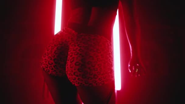 Donna sexy in calzoncini di leopardo che balla la danza moderna - twerk. Ragazza tremante, twerking le natiche da vicino su sfondo rosso, luce infrarossa al neon. Rallentatore. — Video Stock