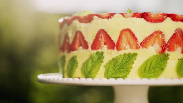 Schöne hausgemachte Erdbeer Fraisier Kuchen dreht sich auf dem Hintergrund der Natur. Leckeres, frisches, appetitanregendes Dessert in Nahaufnahme mit Minzzweigen. Süßwarenkunst, Perfektionismus im Lebensmittelkonzept. — Stockvideo