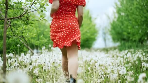 桜の果樹園やリンゴの木の花でカメラから逃げる赤いミニドレスの認識できない女性。遊び心のある女の子、素敵なシーン。春の花。抽象的な自然背景。タンポポ. — ストック動画