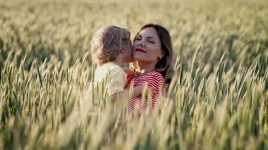 Oğlunun taze buğday tarlasında annesini öptüğü çok dokunaklı bir sahne. Mutlu anne ve oğlan kucaklaşıyor. Aile, aşk, çocukluk kavramı.