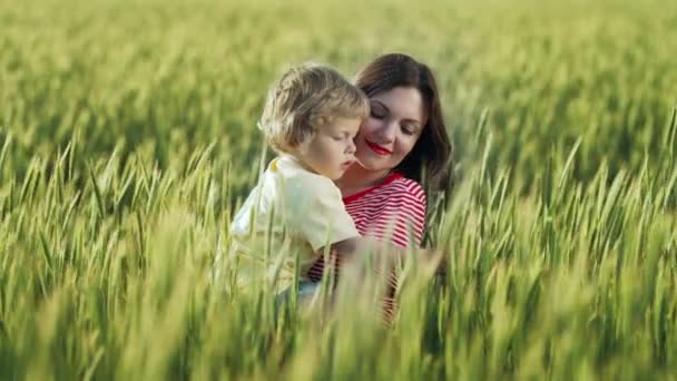 Krásná dojemná scéna matky a batolete syna na poli čerstvé pšenice. Šťastná matka a malý chlapec objímají. Rodina, láska, koncept dětství. — Stock video