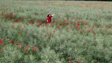 Haşhaş otlağındaki güzel genç kadın. İHA 'dan gelen hava manzarası. Çiçek açan kırmızı haşhaş tarlası. Vahşi çiçek arka planı. Doğa konsepti, tarım endüstrisi .