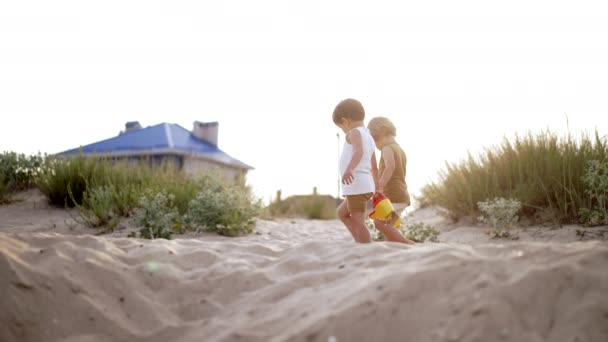 Adorabili băieți frați mici de mers pe plajă de nisip cu cutii. Ziua însorită de vară. Copii gemeni cu vase colorate. Copiii naturali estetici pe fundalul naturii . — Videoclip de stoc