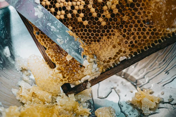 Il coltello taglia il favo sigillato e il miele dolce ne fuoriesce. Produzione di nettare in apiario. Lavoro manuale, cura degli insetti. Concetto di apicoltura, raccolta gialla — Foto Stock