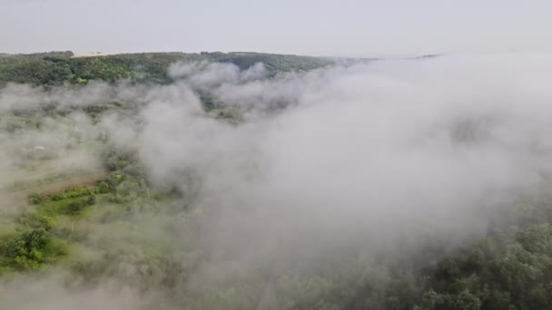 Ormandaki sis kaplı hava aracı görüntüsü. Alçak bulutlarda uçuyor. Sakinlik arka plan, rahatlama, yeryüzünün güzelliği, doğa konsepti — Stok video