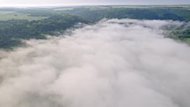 Drone turun dari ketinggian ke dalam kabut berkabut. Pemandangan lembah yang indah di antara pegunungan saat matahari terbit berkabut. Latar belakang alam, kesendirian, keindahan konsep bumi. — Stok Video