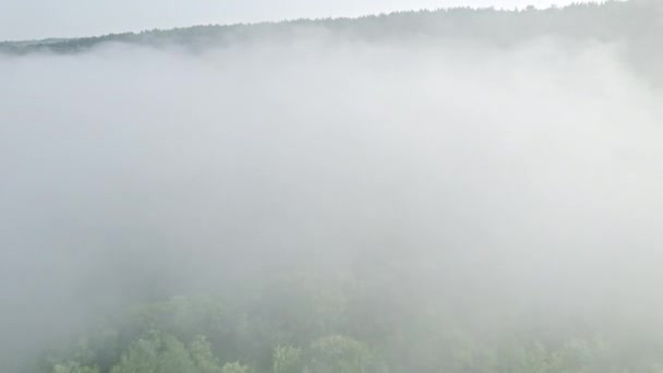 Yeşil dağ ormanının hava aracı görüntüsü. Yoğun sis ve bulutların arasında uçuyor. Fevkalade bir yaz sabahı, sakinlik arka plan, rahatlama, yeryüzünün güzelliği, doğa konsepti — Stok video