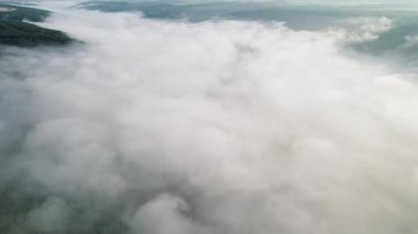 Yağmur ormanlarının sisle kaplı hava aracı görüntüsü. Bulutların arasında uçuyor. Sakinlik arka plan, rahatlama, yeryüzünün güzelliği, doğa konsepti