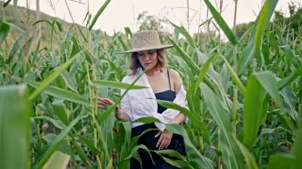 Tarlada yeşil mısır bitkileri arasında yürüyen şık keten elbiseli ve hasır şapkalı güzel bir genç kadının portresi. Tarım, moda, şık kadın konsepti. — Stok video