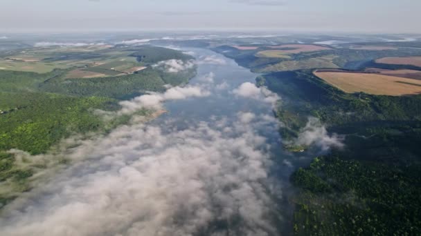 Vista aérea del hermoso río entre montañas, campos durante la mañana brumosa. Niebla mágica o nubes bajas. Fondo de la naturaleza, topografía de la superficie terrestre — Vídeos de Stock