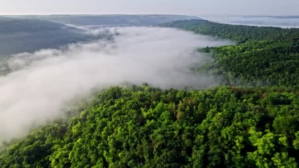 Sisli bir sabahta dağların arasındaki güzel tropikal vadiyi gösteren hava aracı görüntüsü. Geçitte büyülü sis. Doğa arkaplanı. — Stok video