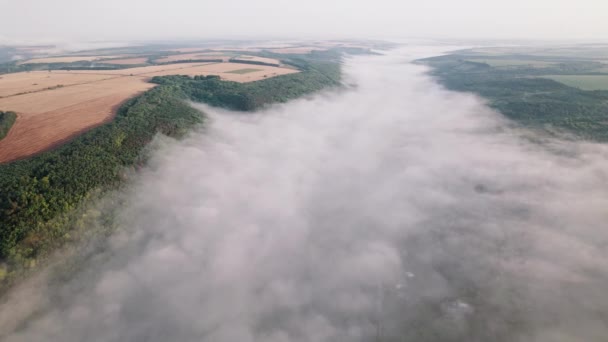 Sisli bir sabahta dağların arasında köyü olan vadiyi gösteren hava aracı görüntüsü. Geçitte büyülü sis. Doğa arka planı, buğday dosyalanmış, topoğrafya kavramı. — Stok video