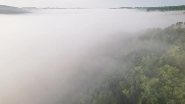Güneşin sisli sabahında dağların arasındaki güzel vadinin hava aracı görüntüsü. Geçitte büyülü sis. Doğa geçmişi, yalnızlık, toprak konseptinin güzelliği.. — Stok video