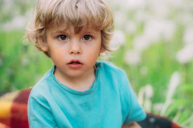 Yeşil arka planda karahindiba tarlasında oturan erkek çocukların portresi. Kıvırcık saçlı, kameraya bakan koca gözlü şirin bir bebek. Aile, aşk, çocuk konsepti.
