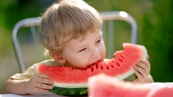 Χαριτωμένο μικρό αγόρι τρώει φέτα από ζουμερό καρπούζι κάθεται σε φυσικό πράσινο φόντο κήπο. Αξιολάτρευτο παιδί που απολαμβάνει φρέσκα φρούτα του καλοκαιριού με χαμόγελο. — Αρχείο Βίντεο