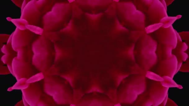 Mandala rose boucle kaléidoscope séquence. Fond graphique abstrait de mouvement. Effet texturé, motion design. Mosaïque incroyable, concept de symétrie. — Video