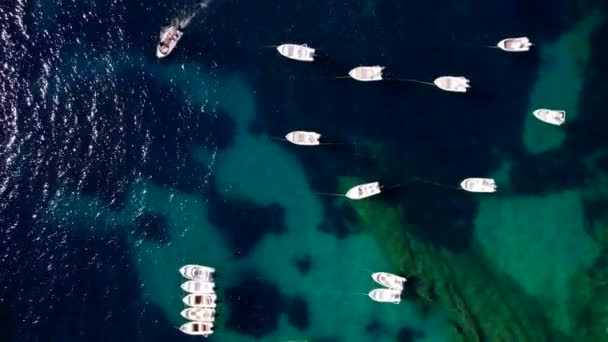 Flygdrönare vy till klart blått havsvatten med förtöjda båtar och yachter. Fantastisk azure natur bakgrund. Ankring i bukten i privat strand på Korfu ön, Grekland resmål. — Stockvideo