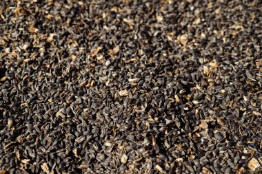 Top view of heap of sunflower seeds creating natural textured background. Perfect for healthy food, agriculture, organic product concepts.