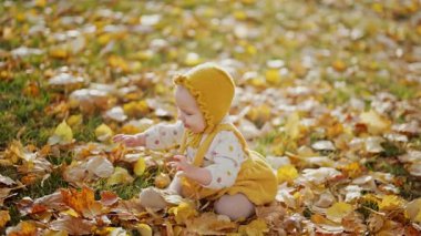 Sarı elbiseli sevimli kız sonbahar yapraklarının arasında oturmuş merakla doğayı keşfediyor. Sıcak sonbahar atmosferi, aile, çocukluk ve mevsimlik temalar için mükemmel..