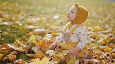Sarı elbiseli sevimli kız sonbahar yapraklarının arasında oturmuş merakla doğayı keşfediyor. Sıcak sonbahar atmosferi, aile, çocukluk ve mevsimlik temalar için mükemmel..