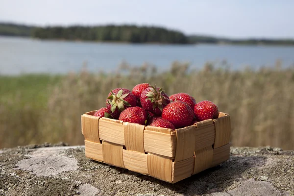 Morangos em uma pequena cesta de madeira — Fotografia de Stock