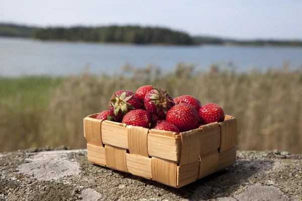 Egy kis fa kosár szamóca — Stock Fotó