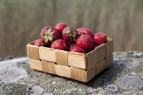 Fresas en una pequeña cesta de madera — Foto de Stock