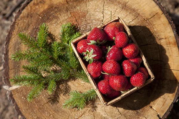 Erdbeeren in einem kleinen Holzkorb — Stockfoto