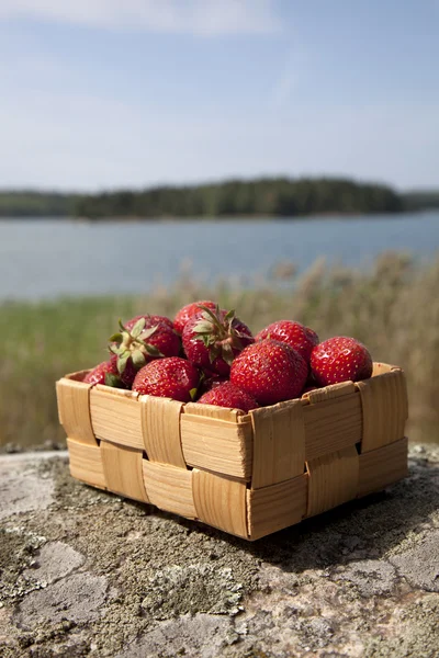 Fresas en una pequeña cesta de madera Imágenes de stock libres de derechos
