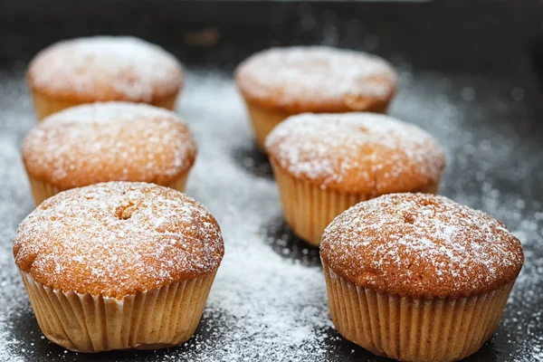Muffins em açúcar em pó em um escuro — Fotografia de Stock