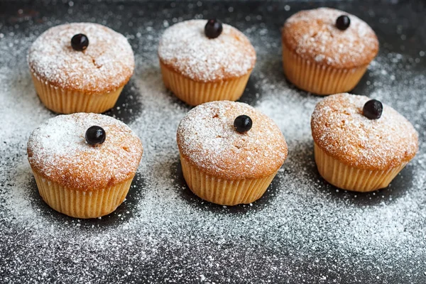 Muffins with black currant sprinkled — Stock Photo, Image