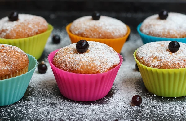 Muffins with black currant in silicone forms sprinkled — Stock Photo, Image