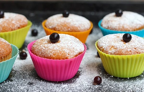 Muffins silikon formları Siyah frenk üzümü ile serpilir