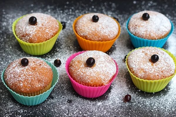 Muffins with black currant in silicone forms sprinkled — Stock Photo, Image