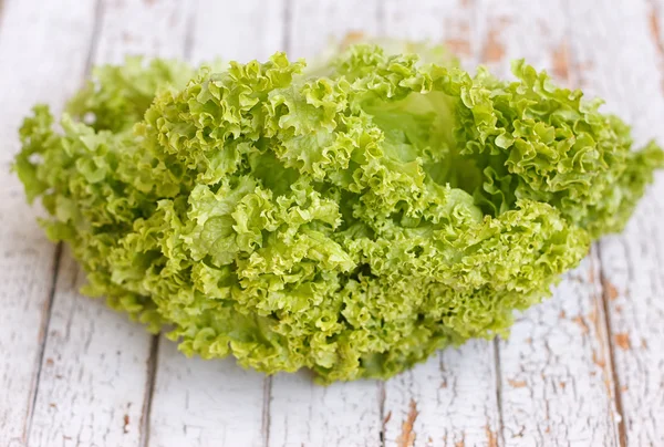 Green lettuce leaves — Stock Photo, Image