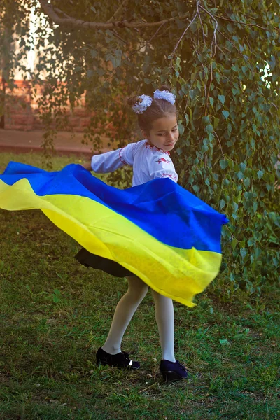 Menina em bordado com a bandeira da Ucrânia — Fotografia de Stock