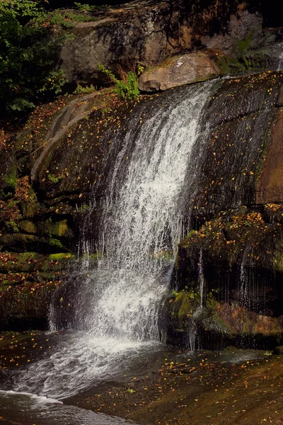 Waterval in bos — Stockfoto