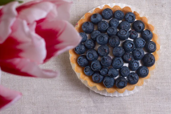 Tortino con mirtilli freschi — Foto Stock