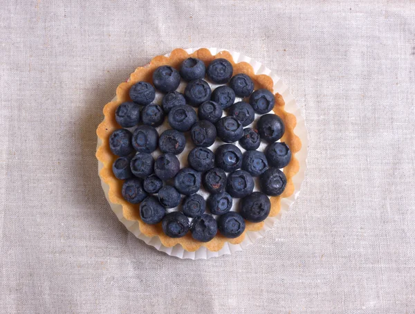 与新鲜蓝莓挞 — 图库照片