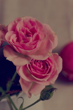 Küçük vintage kırmızı gül dalı