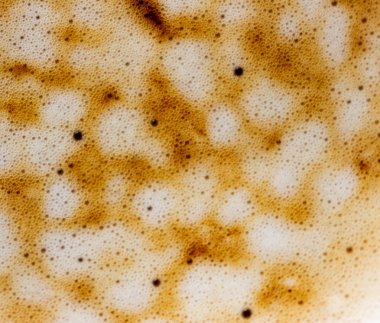 latte köpük. yatay olarak